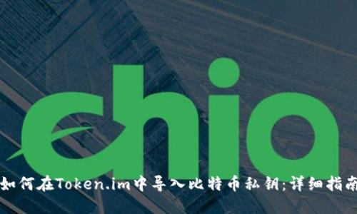 如何在Token.im中导入比特币私钥:详细指南