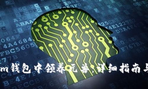 如何在Token.im钱包中领养元兽:详细指南与常见问题解答
