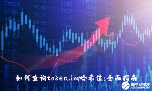 如何查询token.im哈希值:全面指南