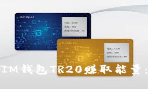 如何通过IM钱包TR20赚取能量:全面指南