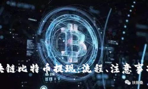 全面解析区块链比特币提现:流程、注意事项及常见问题