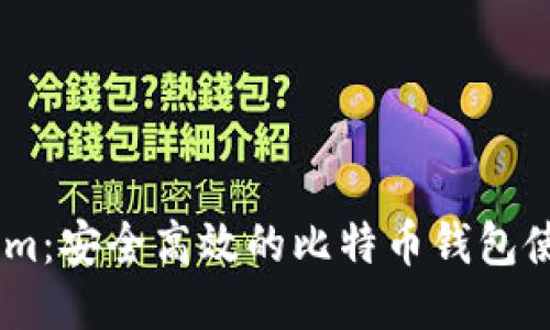 Token.im:安全高效的比特币钱包使用指南