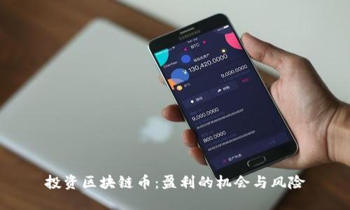 投资区块链币:盈利的机会与风险
