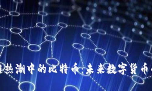 区块链热潮中的比特币：未来数字货币的战略