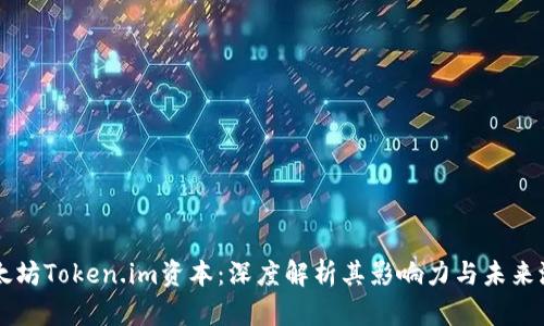 以太坊Token.im资本:深度解析其影响力与未来潜力