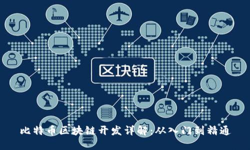 比特币区块链开发详解:从入门到精通