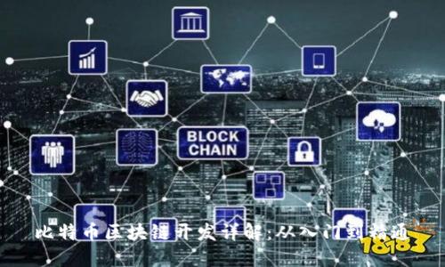 比特币区块链开发详解:从入门到精通