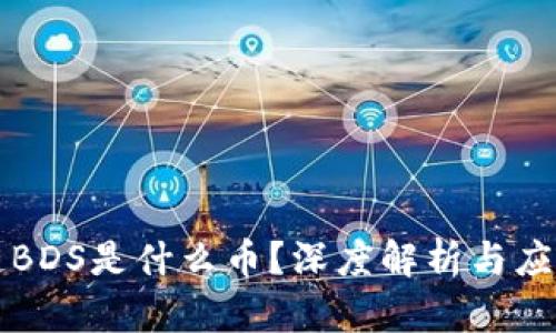 区块链BDS是什么币?深度解析与应用前景