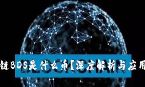区块链BDS是什么币?深度解析与应用前景