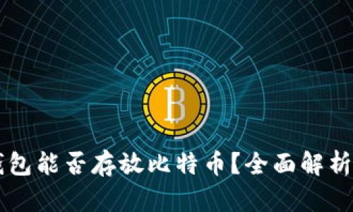 Token.im钱包能否存放比特币?全面解析与使用指南