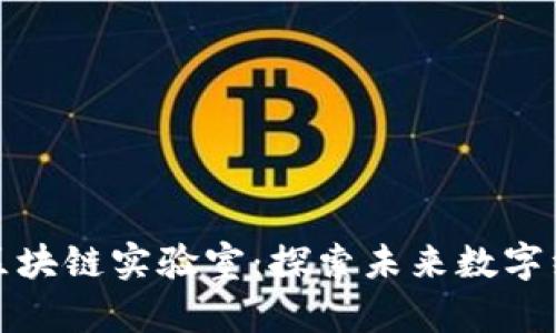 火币海南区块链实验室：探索未来数字经济的前沿
