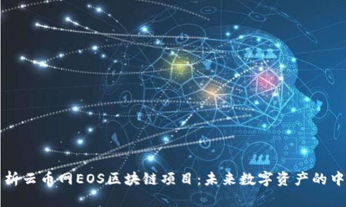 全面解析云币网EOS区块链项目:未来数字资产的中流砥柱