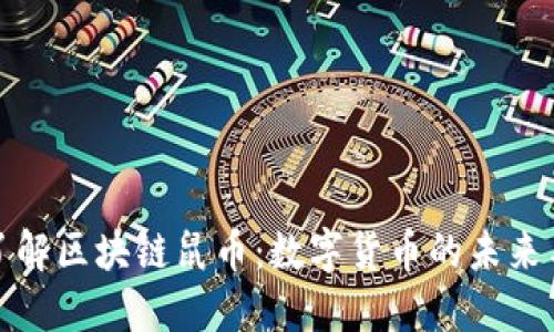 深入了解区块链鼠币:数字货币的未来与机遇