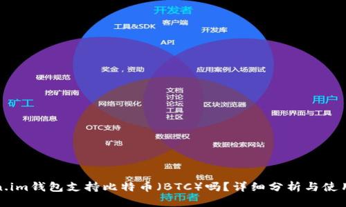 Token.im钱包支持比特币(BTC)吗?详细分析与使用指南