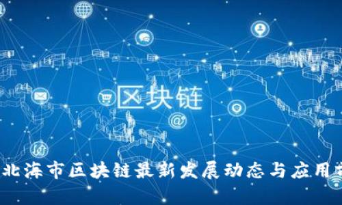 2023年北海市区块链最新发展动态与应用前景分析