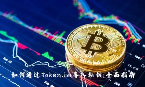 如何通过Token.im导入私钥:全面指南