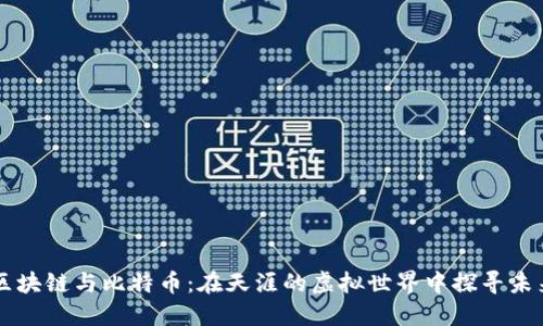 区块链与比特币:在天涯的虚拟世界中探寻未来
