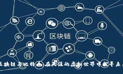 区块链与比特币:在天涯的虚拟世界中探寻未来