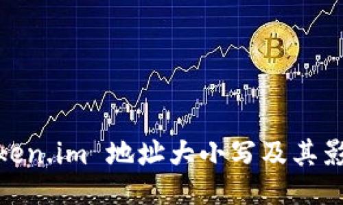 Token.im 地址大小写及其影响