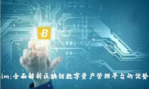 Token.im:全面解析区块链数字资产管理平台的优势与未来