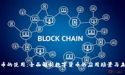 区块链币的使用:全面解析数字货币的应用场景与未来趋势