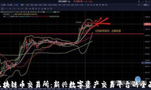 CTC区块链币交易所:新兴数字资产交易平台的全面解析