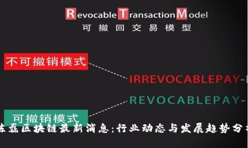 陈磊区块链最新消息：行业动态与发展趋势分析