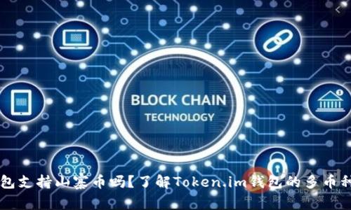 Token.im钱包支持山寨币吗?了解Token.im钱包的多币种功能与应用