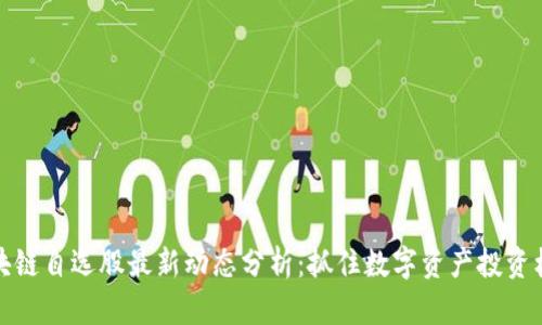 区块链自选股最新动态分析:抓住数字资产投资机遇