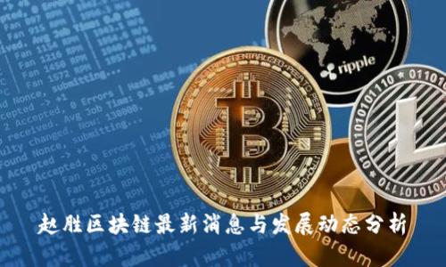 赵胜区块链最新消息与发展动态分析