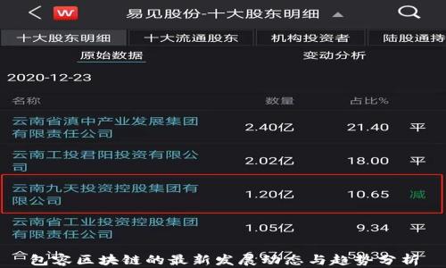 包容区块链的最新发展动态与趋势分析
