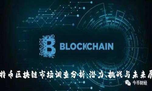 比特币区块链市场调查分析:潜力、挑战与未来展望