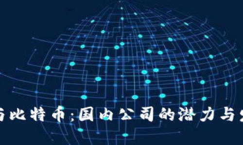 区块链与比特币:国内公司的潜力与发展机遇