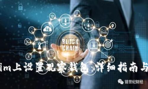 如何在Token.im上设置观察钱包:详细指南与常见问题解答