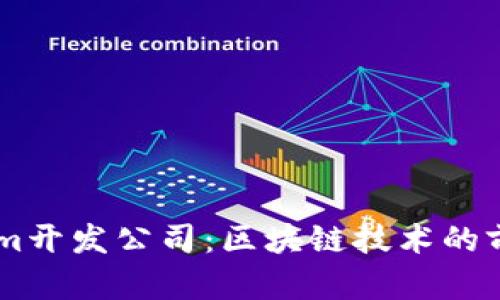 Token.im开发公司:区块链技术的前沿先锋