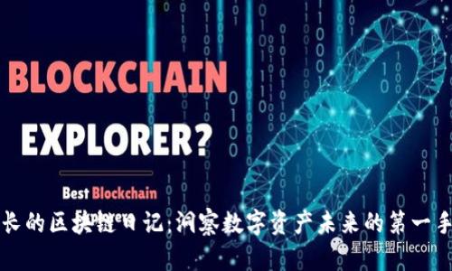 王团长的区块链日记:洞察数字资产未来的第一手记录