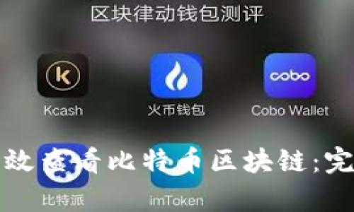 如何有效查看比特币区块链：完全指南