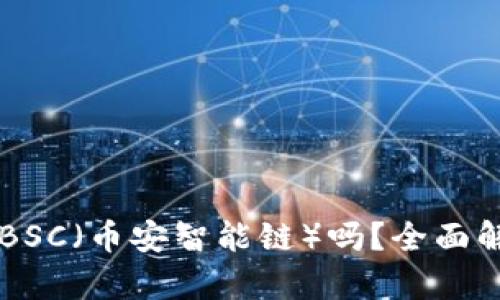 Token.im支持BSC(币安智能链)吗?全面解析与使用指南