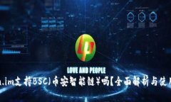 Token.im支持BSC（币安智能链）吗？全面解析与使用