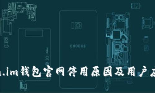 : Token.im钱包官网停用原因及用户应对措施