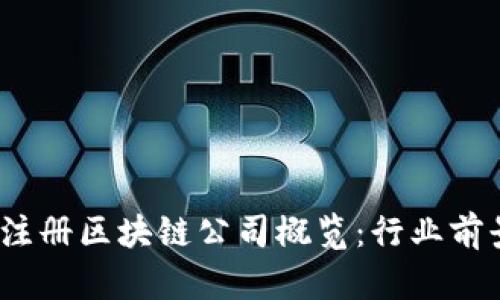 2023年最新注册区块链公司概览:行业前景与创新动态