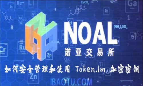 如何安全管理和使用 Token.im 加密密钥