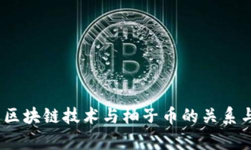 全面解析:区块链技术与柚子币的关系与发展前景