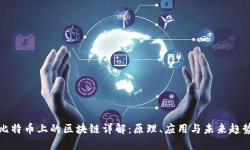 比特币上的区块链详解:原理、应用与未来趋势