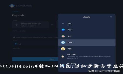 如何将FIL(Filecoin)转入IM钱包:详细步骤与常见问题解答