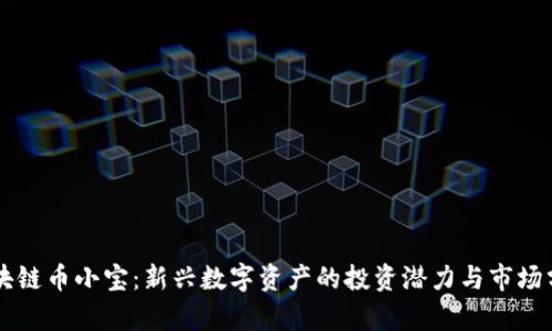 区块链币小宝:新兴数字资产的投资潜力与市场分析