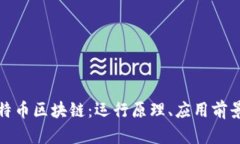 全面解析比特币区块链：运行原理、应用前景与