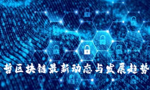 王新哲区块链最新动态与发展趋势分析