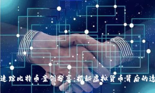 区块链追踪比特币案例分享:揭秘虚拟货币背后的透明技术