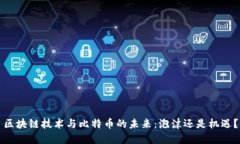 区块链技术与比特币的未来：泡沫还是机遇？